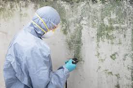 Biohazard Mold Removal in Manchester, GA